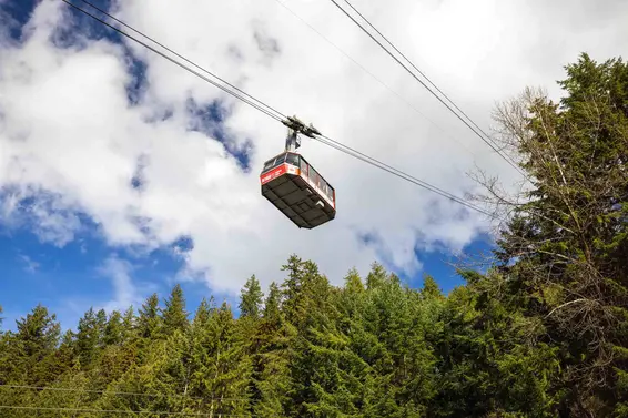 5709 Owl Court, North Vancouver For Sale - image 37