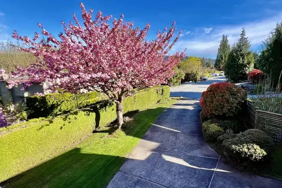 4130 Russell Court, North Vancouver For Sale - image 38
