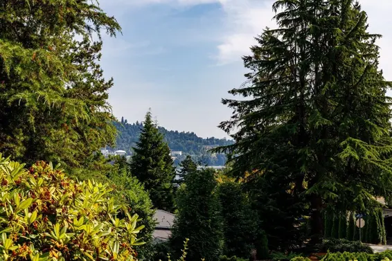 697 Plymouth Drive, North Vancouver For Sale - image 27