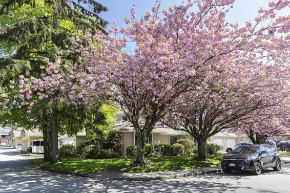 3 1716 Mahon Avenue, North Vancouver For Sale - image 4