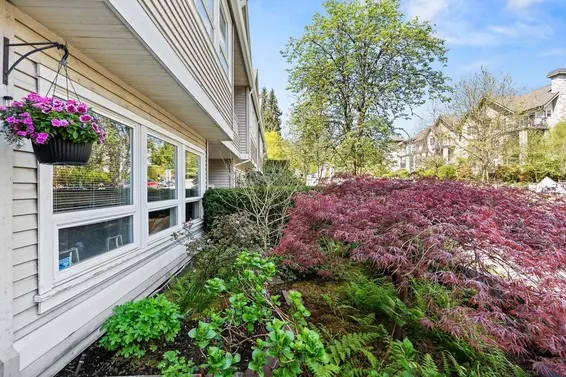 103 1145 East 29th Street, North Vancouver For Sale - image 5