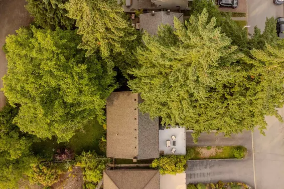 1082 Calverhall Street, North Vancouver For Sale - image 3