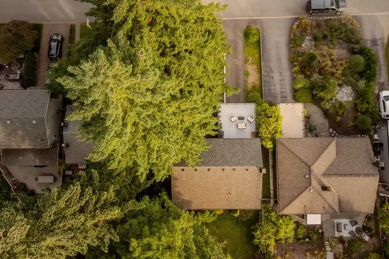1082 Calverhall Street, North Vancouver For Sale - image 4