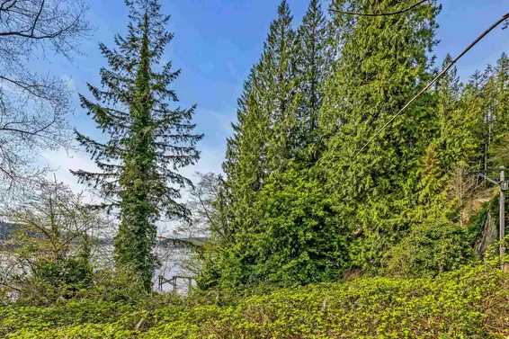 LOT 3 Sunshine Falls Lane, North Vancouver For Sale - image 10