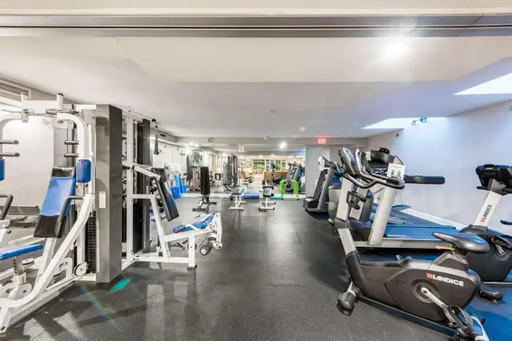 217 3629 Deercrest Drive, North Vancouver For Sale - image 28