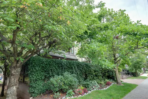 205 1535 Chesterfield Avenue, North Vancouver For Sale - image 21