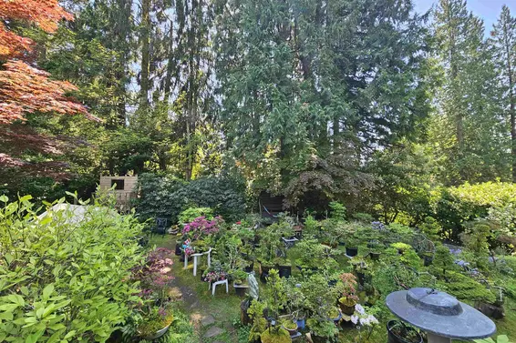 435 East Osborne Road, North Vancouver For Sale - image 4