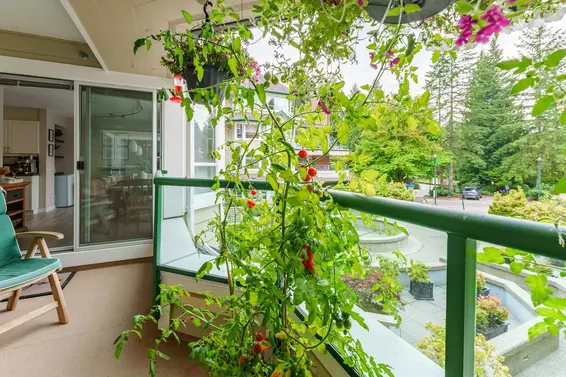 212 3690 Banff Court, North Vancouver For Sale - image 12