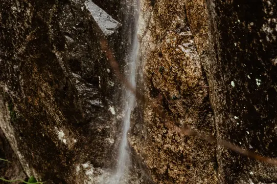 4639 Caulfeild Drive, West Vancouver For Sale - image 32