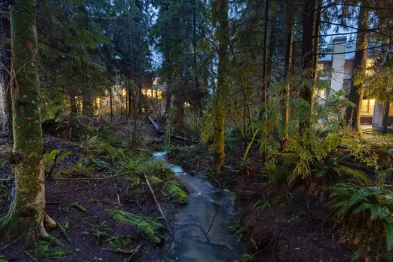 1188 Strathaven Drive, North Vancouver For Sale - image 32