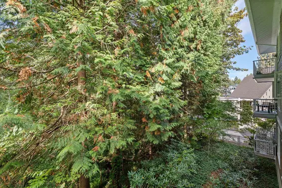 208 3151 Connaught Crescent, North Vancouver For Sale - image 25