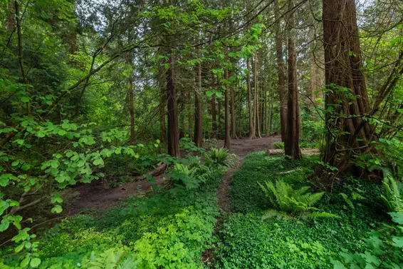 306 2059 Chesterfield Avenue, North Vancouver For Sale - image 38