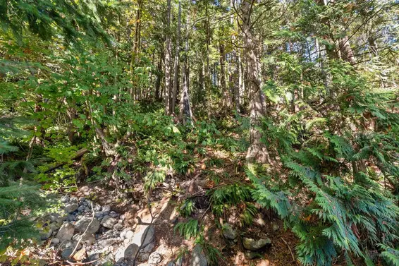 2717 Panorama Drive, North Vancouver For Sale - image 29
