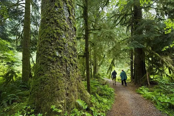 , North Vancouver For Sale - image 26