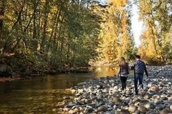 , North Vancouver For Sale - image 27