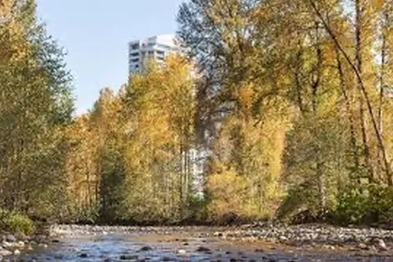 , North Vancouver For Sale - image 28