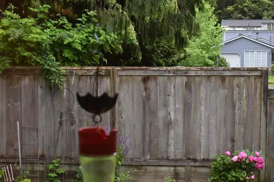 3474 Greentree Lane, North Vancouver For Sale - image 18