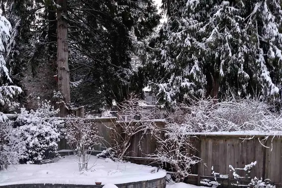 3474 Greentree Lane, North Vancouver For Sale - image 19