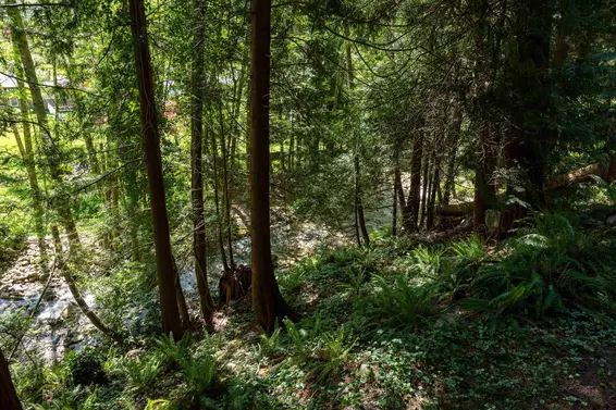 5730 Bluebell Drive, West Vancouver For Sale - image 33