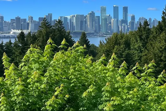 507 119 West 22nd Street, North Vancouver