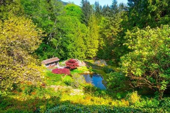4228 Rockridge Crescent, West Vancouver For Sale - image 31