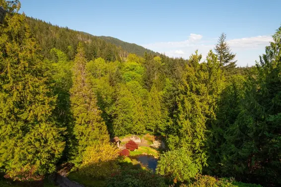 4228 Rockridge Crescent, West Vancouver For Sale - image 39