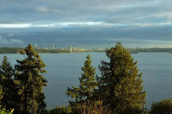 3602 Creery Avenue, West Vancouver For Sale - image 31