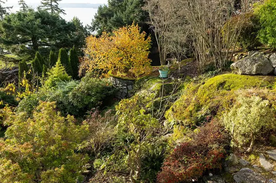 3602 Creery Avenue, West Vancouver For Sale - image 34