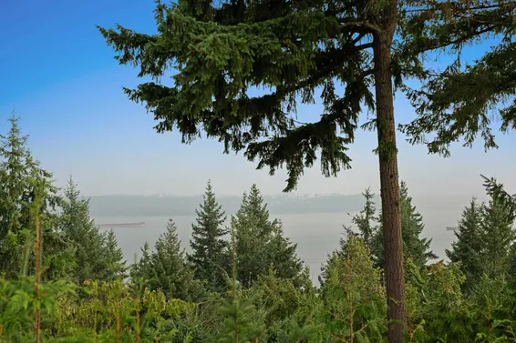 4514 Woodgreen Drive, West Vancouver For Sale - image 14