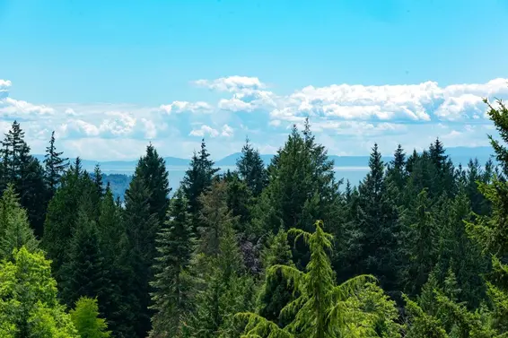 4895 Northwood Drive, West Vancouver For Sale - image 21