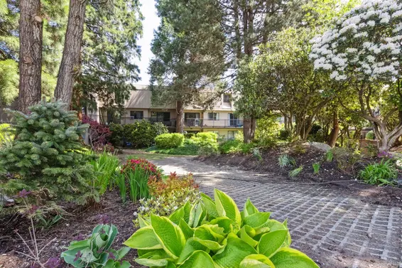 306 1385 Draycott Road, North Vancouver For Sale - image 23