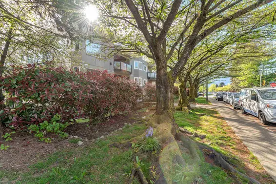 201 175 West 4th Street, North Vancouver For Sale - image 29