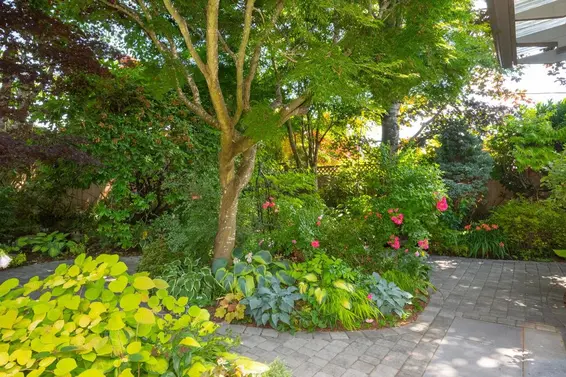 1132 Maplewood Crescent, North Vancouver For Sale - image 32