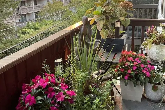 203 211 West 3rd Street, North Vancouver For Sale - image 14