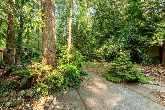 643 Plymouth Drive, North Vancouver For Sale - image 9