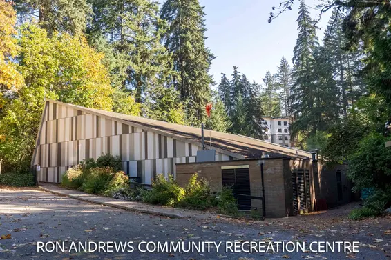 120 954 Lytton Street, North Vancouver For Sale - image 38