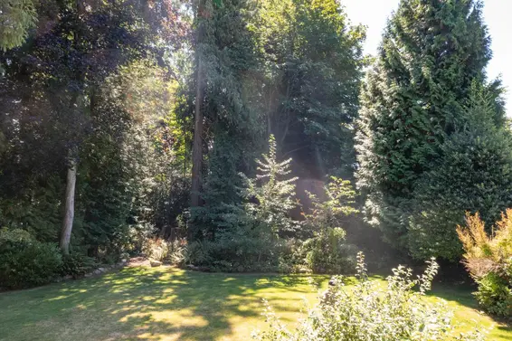 1435 Nelson Avenue, West Vancouver For Sale - image 5