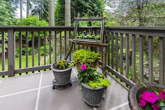 2541 Carnation Street, North Vancouver For Sale - image 18