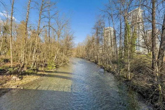 101 1550 Fern Street, North Vancouver For Sale - image 37