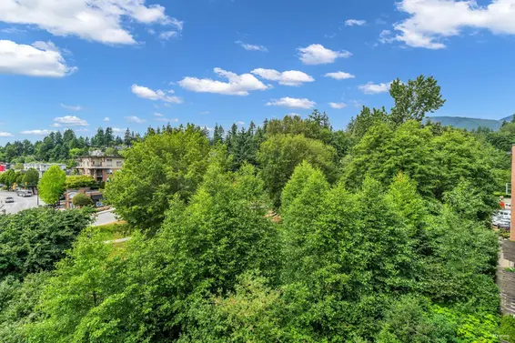 408 1621 Hamilton Avenue, North Vancouver For Sale - image 31