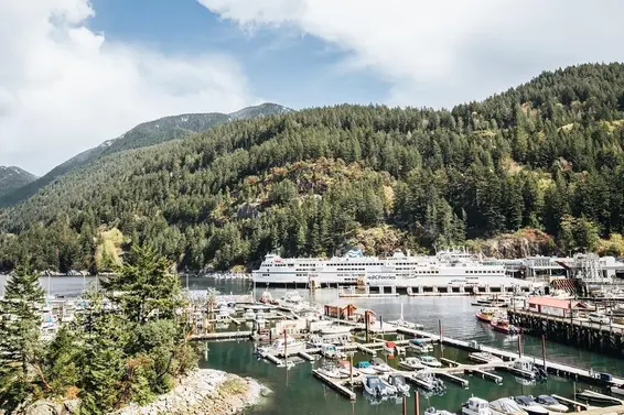 305 6707 Nelson Avenue, West Vancouver For Sale - image 18