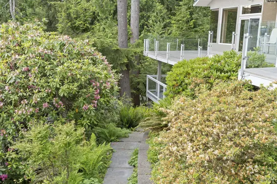 463 Ventura Crescent, North Vancouver For Sale - image 28