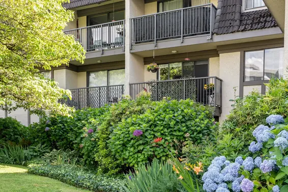 205 307 West 2nd Street, North Vancouver For Sale - image 26