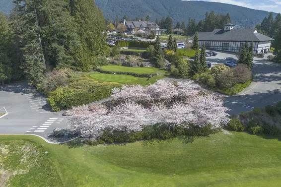 460 Southborough Drive, West Vancouver For Sale - image 11