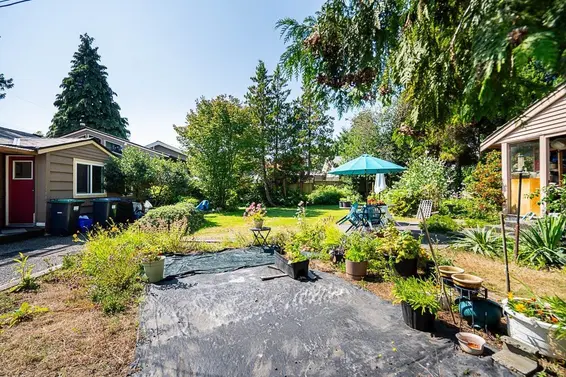 894 East 13th Street, North Vancouver For Sale - image 9