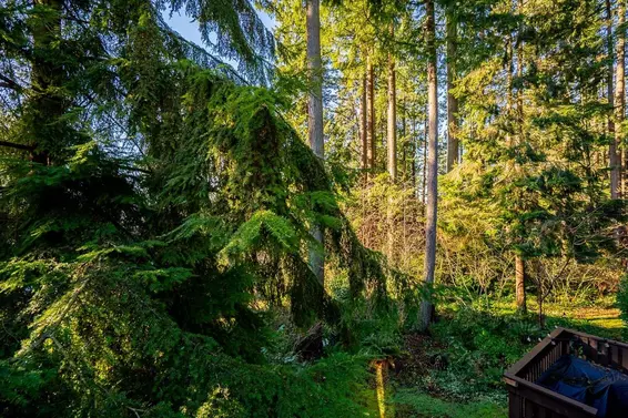 2076 Purcell Way, North Vancouver For Sale - image 21