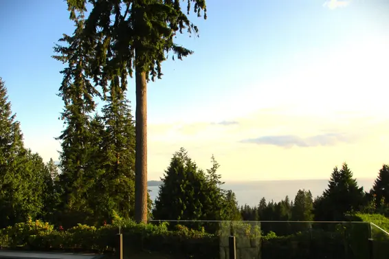 2638 Queens Avenue, West Vancouver For Sale - image 4
