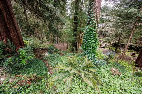 4193 Norwood Avenue, North Vancouver For Sale - image 37
