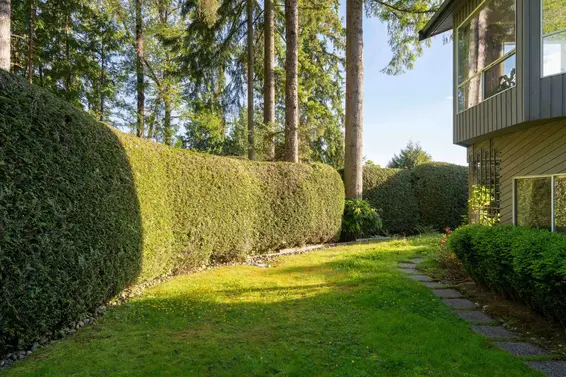 551 Palisade Drive, North Vancouver For Sale - image 37