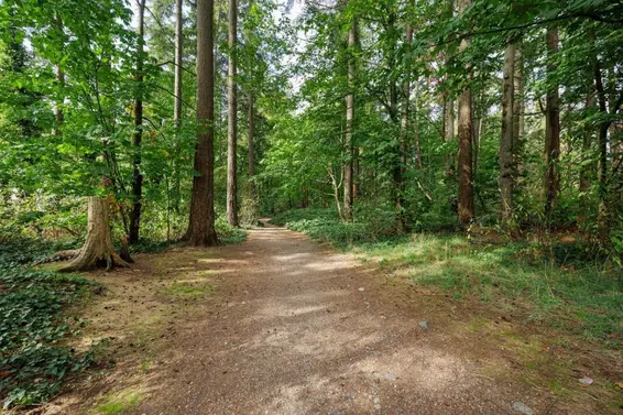 347 Seymour River Place, North Vancouver For Sale - image 30